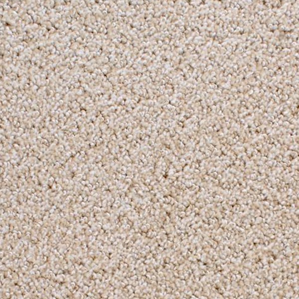 Shafer Point Bleeker Beige